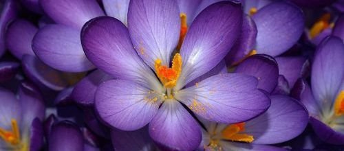 Современные Материалы для педикюра купить в Молдове - Магазины косметики Paradis-Cosmetic