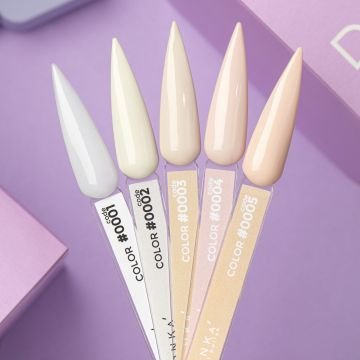 Цветной гель-лак DNKa No. 0005