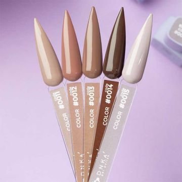 Цветной гель-лак DNKa No. 0011