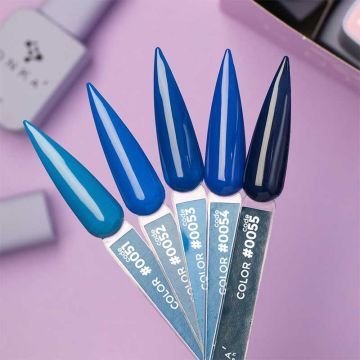 Цветной гель-лак DNKa No. 0055