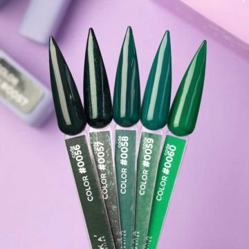 Цветной гель-лак DNKa No. 0058