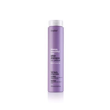 Шампунь антижелтый Abh/ silver no-yellow shampoo Шампунь антижелтый Abh/ silver no-yellow shampoo