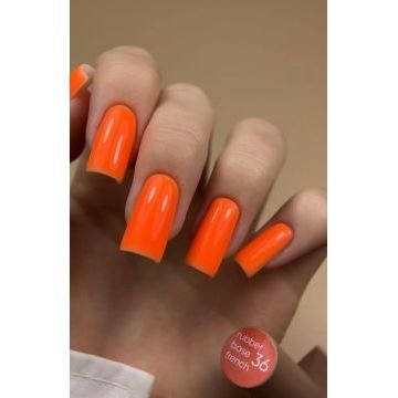 French Base Valeri №36