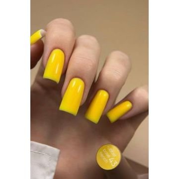 French Base Valeri №43