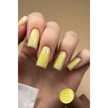 French Base Valeri №78