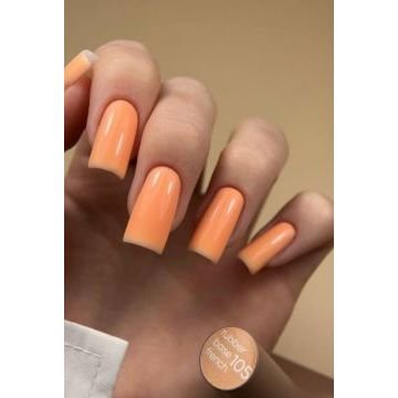 French Base Valeri №105