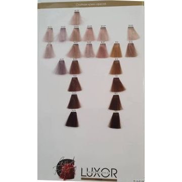 Краситель LUXOR Professional Graffito