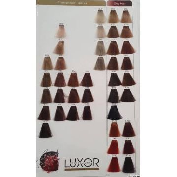 Краситель LUXOR Professional Graffito